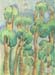 Thicket - 1998